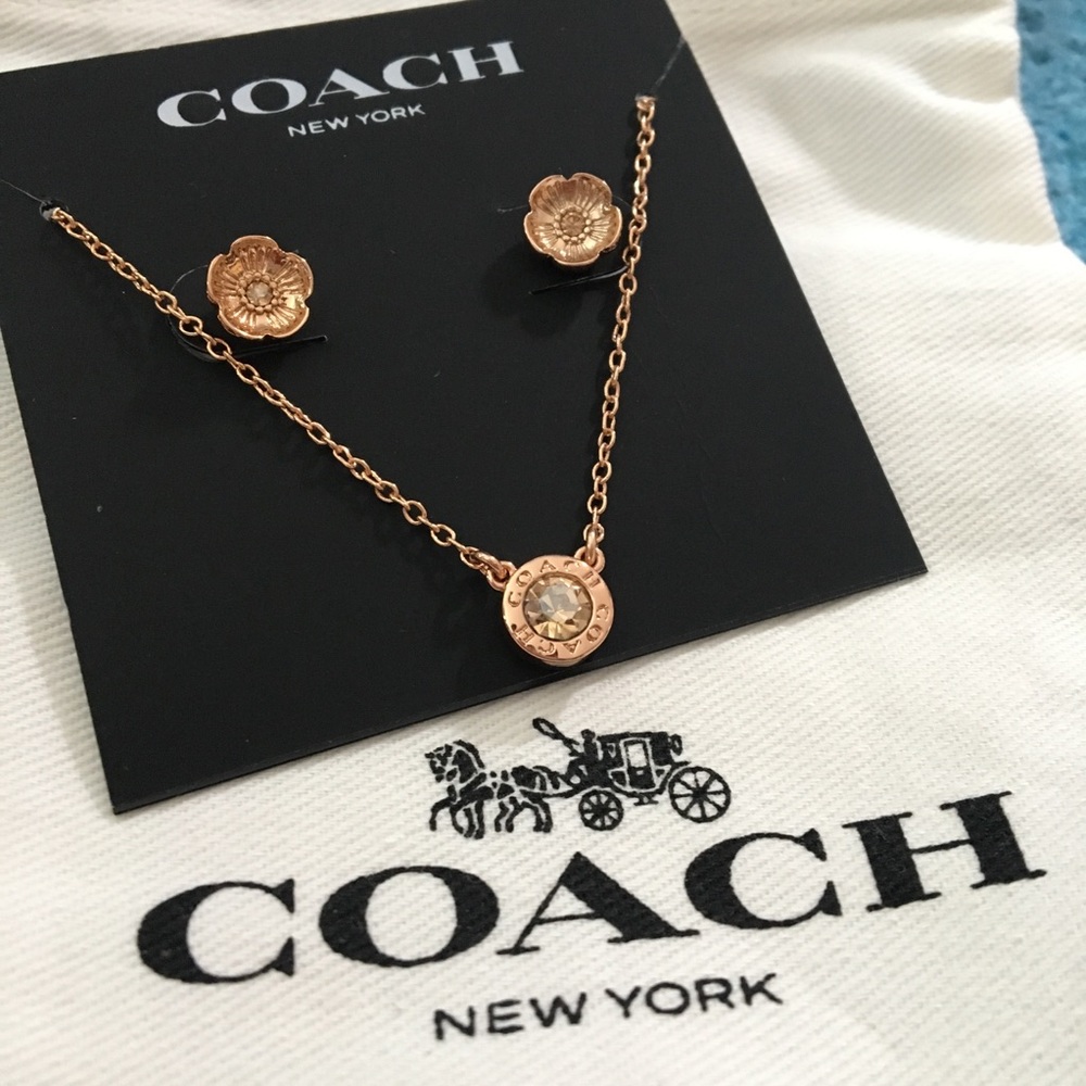 Open Circle Necklace & Tea Rose Stud Earrings Set